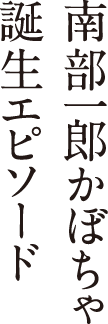 南部一郎かぼちゃ 誕生エピソード