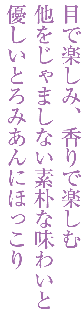 目で楽しみ、香りで楽しむ他をじゃましない素朴な味わいと優しいとろみあんにほっこり