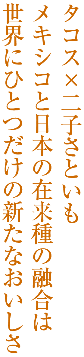 タコス×二子さといもメキシコと日本の在来種の融合は世界にひとつだけの新たなおいしさ