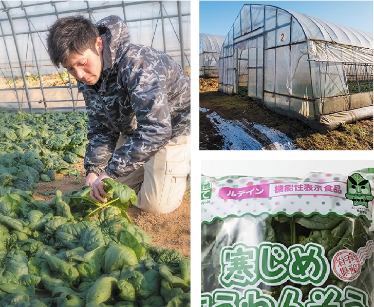 栄養豊富で甘味抜群！岩手の冬の健康野菜