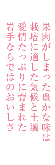 果肉がしまった豊かな味は栽培に適した気候と土壌愛情たっぷりに育まれた岩手ならではのおいしさ