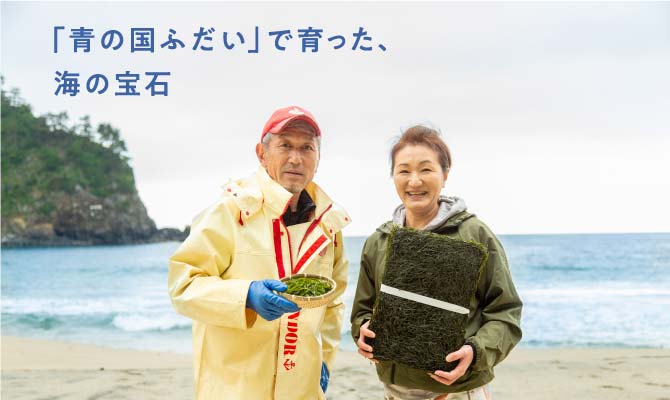 普代村産すき昆布