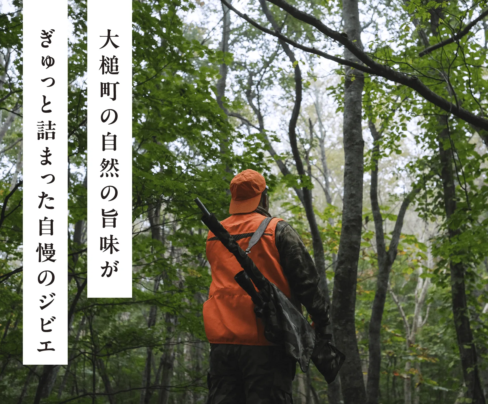 「大槌町の自然の旨みがぎゅっと詰まった自慢のジビエ」森の中の写真