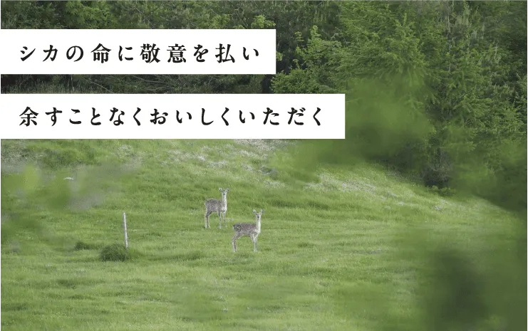 「シカの命に敬意を払い余すことなくおいしくいただく」のシカの風景写真(スマホ用)