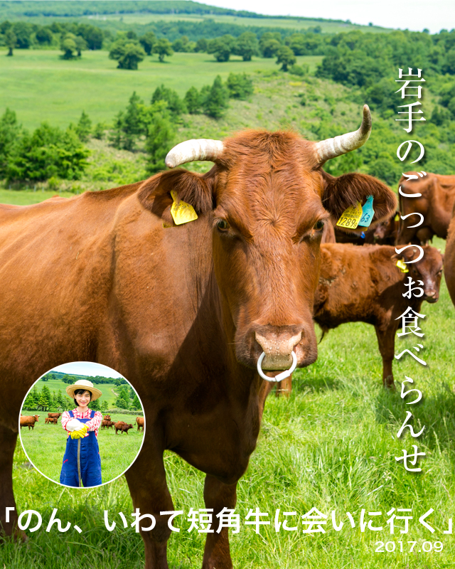 岩手のごっつぉ食べらんせ